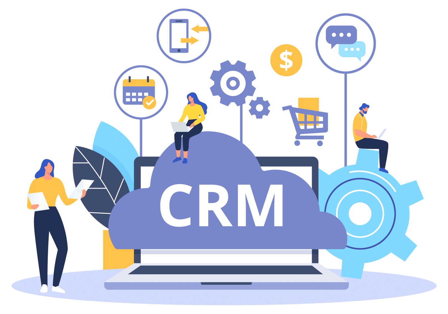 system crm
